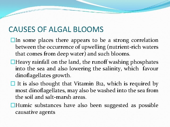 CAUSES OF ALGAL BLOOMS �In some places there appears to be a strong correlation