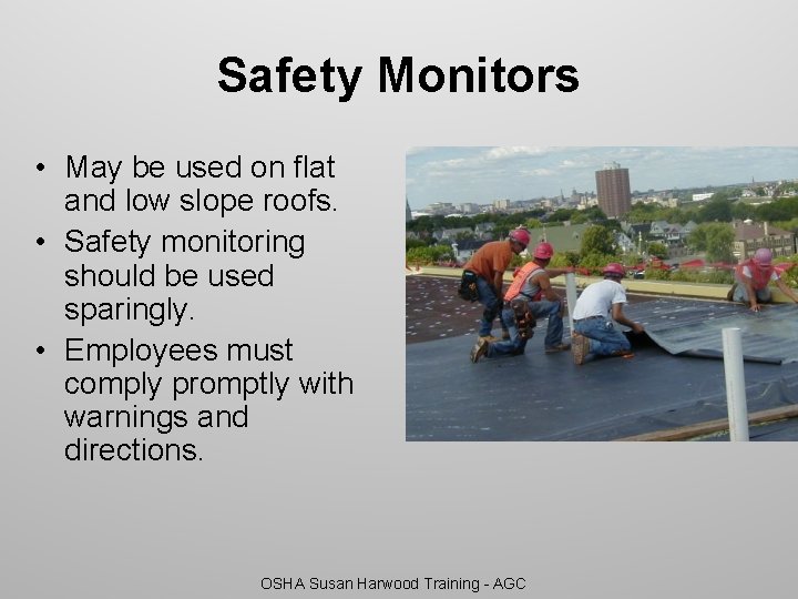 Safety Monitors • May be used on flat and low slope roofs. • Safety