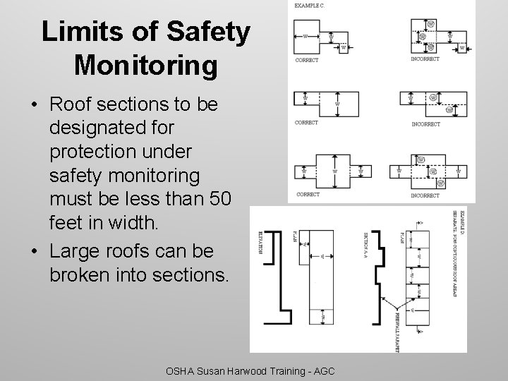 Limits of Safety Monitoring • Roof sections to be designated for protection under safety