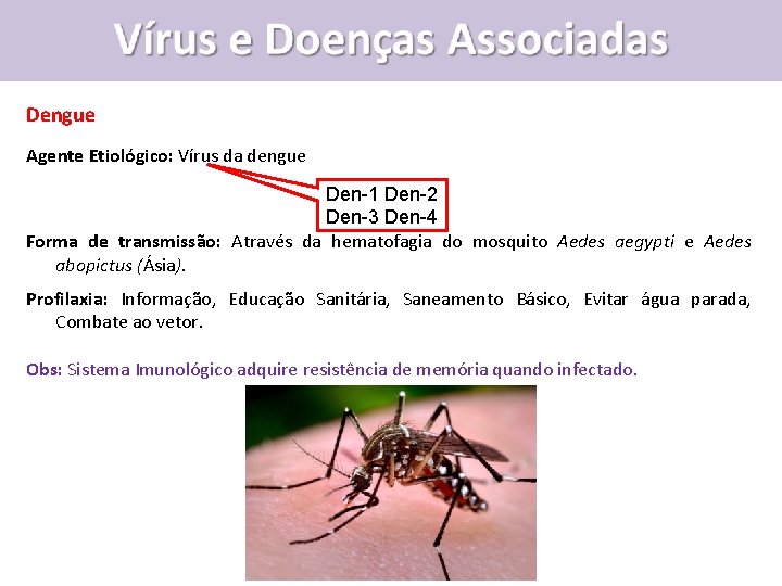 Dengue Agente Etiológico: Vírus da dengue Den-1 Den-2 Den-3 Den-4 Forma de transmissão: Através