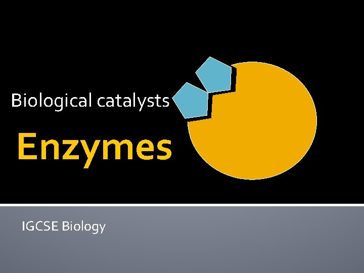 Biological catalysts Enzymes IGCSE Biology 