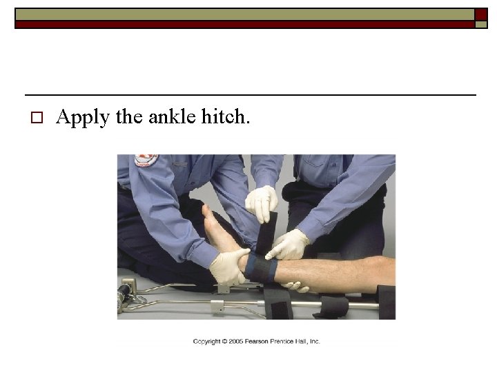 o Apply the ankle hitch. 