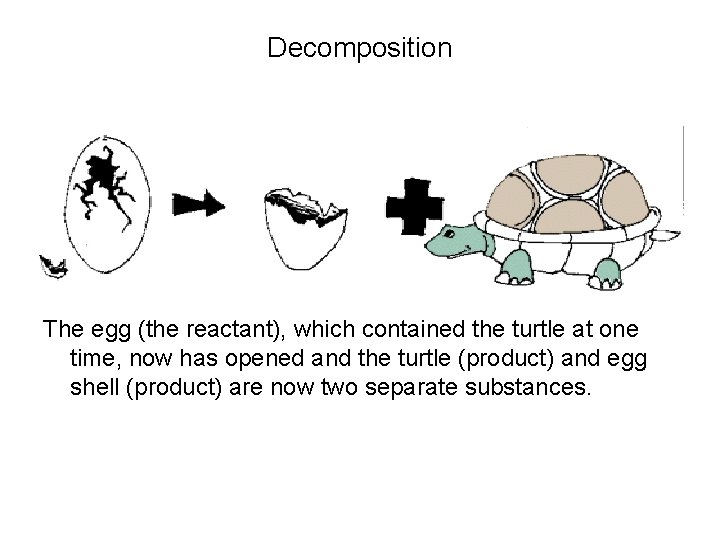 Decomposition The egg (the reactant), which contained the turtle at one time, now has