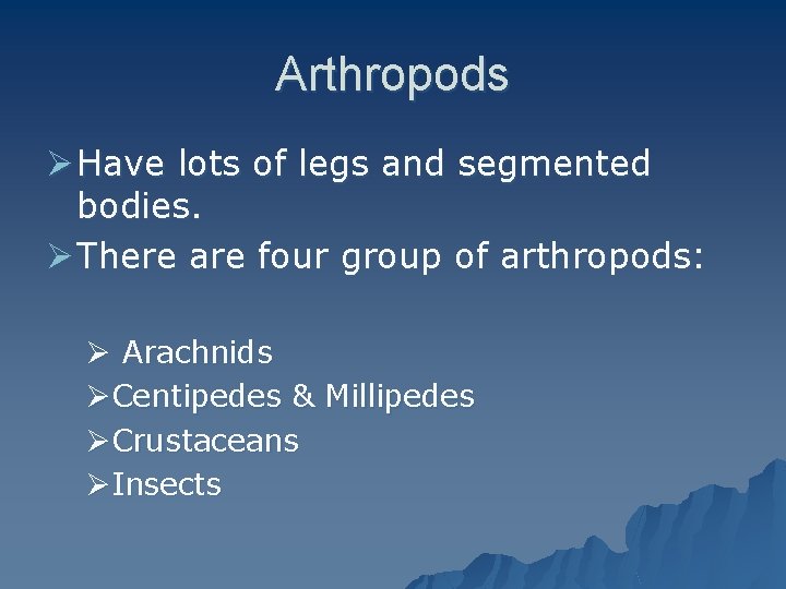 Arthropods Ø Have lots of legs and segmented bodies. Ø There are four group