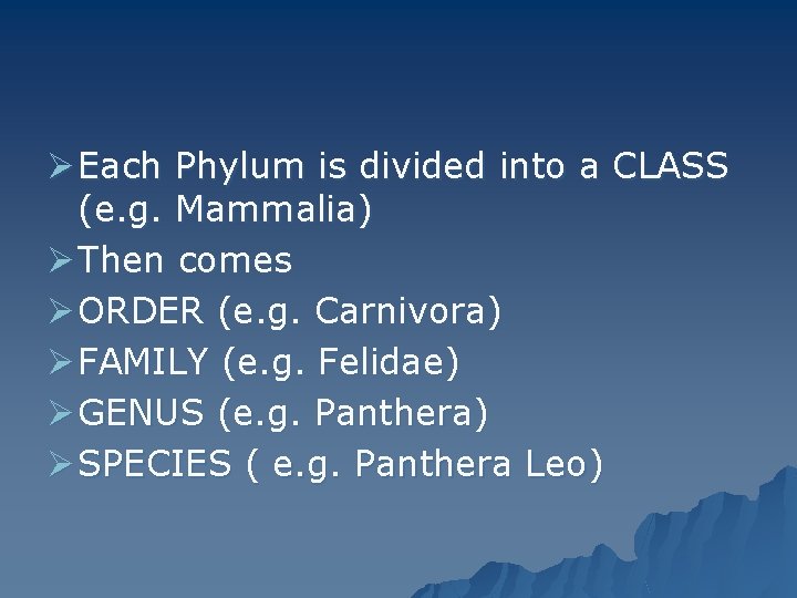 Ø Each Phylum is divided into a CLASS (e. g. Mammalia) Ø Then comes