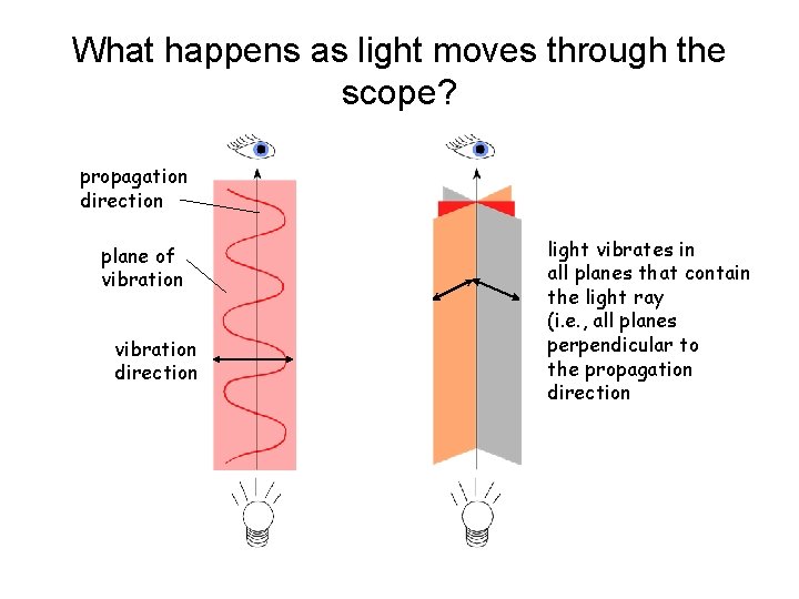 What happens as light moves through the scope? propagation direction plane of vibration direction