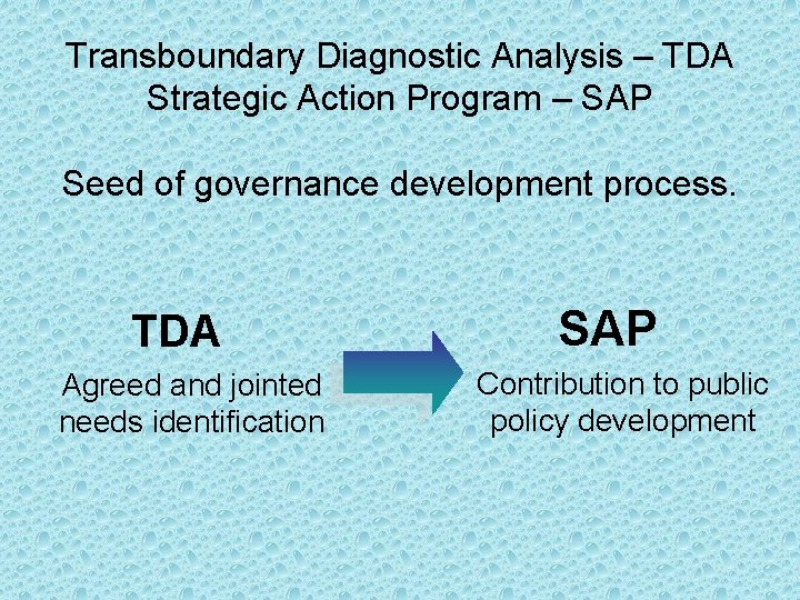 Transboundary Diagnostic Analysis – TDA Strategic Action Program – SAP Seed of governance development