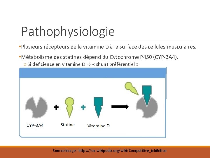 Pathophysiologie • Plusieurs récepteurs de la vitamine D à la surface des cellules musculaires.
