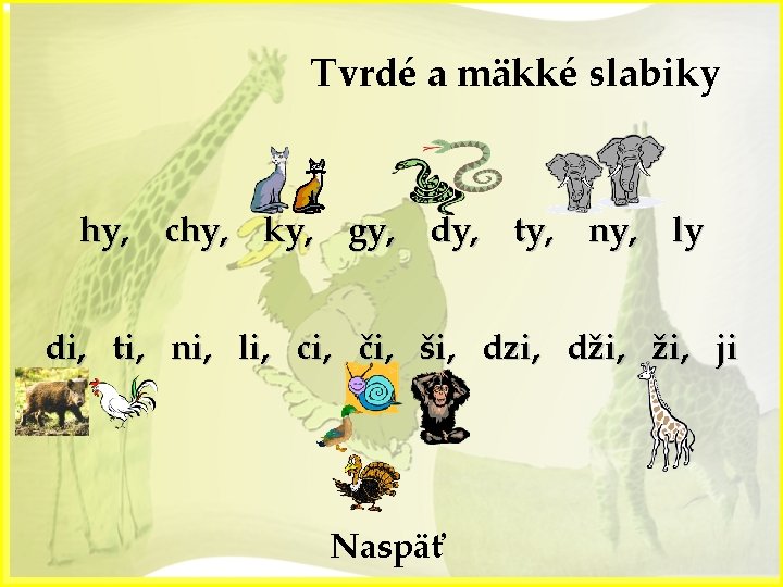 Tvrdé a mäkké slabiky hy, chy, ky, gy, dy, ty, ny, ly di, ti,