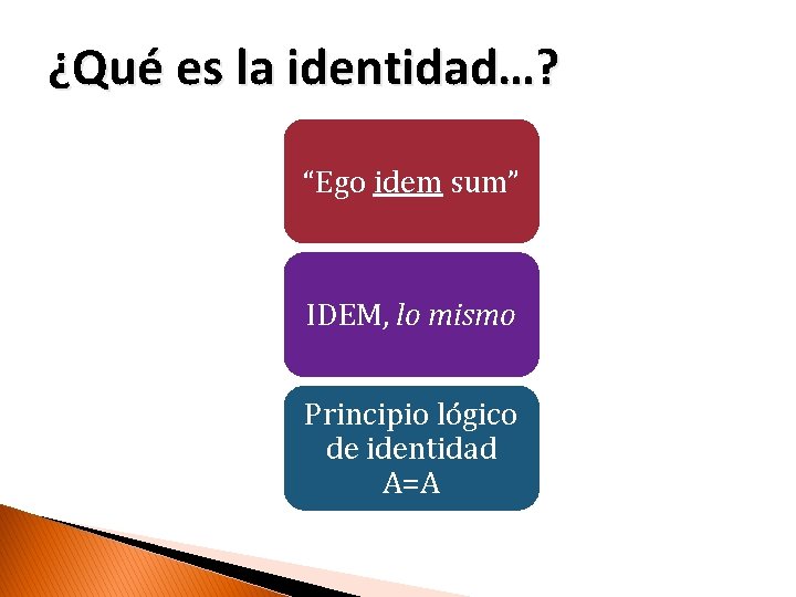 ¿Qué es la identidad…? “Ego idem sum” IDEM, lo mismo Principio lógico de identidad
