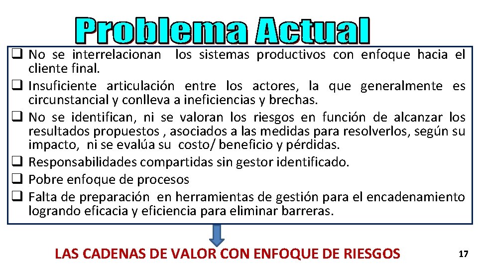 q No se interrelacionan los sistemas productivos con enfoque hacia el cliente final. q