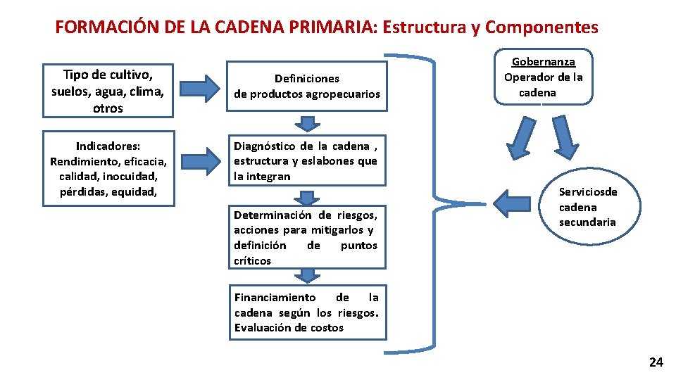 FORMACIÓN DE LA CADENA PRIMARIA: Estructura y Componentes Tipo de cultivo, suelos, agua, clima,