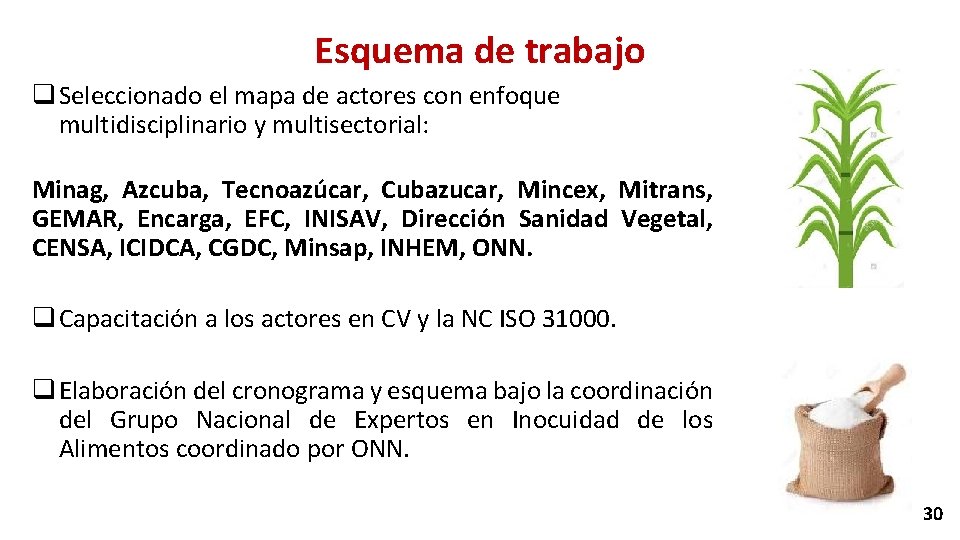 Esquema de trabajo q Seleccionado el mapa de actores con enfoque multidisciplinario y multisectorial: