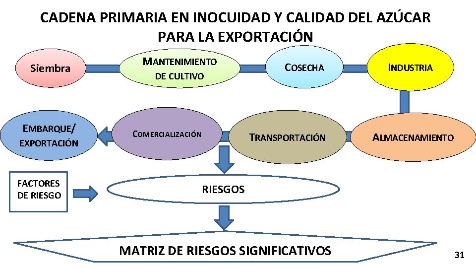 CADENA PRIMARIA EN INOCUIDAD Y CALIDAD DEL AZÚCAR PARA LA EXPORTACIÓN Siembra EMBARQUE/ EXPORTACIÓN