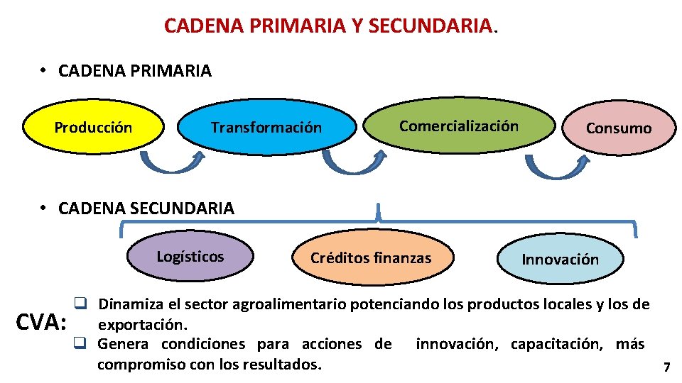 CADENA PRIMARIA Y SECUNDARIA. • CADENA PRIMARIA Producción Transformación Comercialización Consumo • CADENA SECUNDARIA
