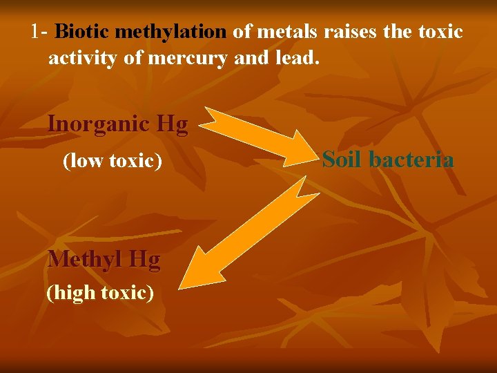 1 - Biotic methylation of metals raises the toxic activity of mercury and lead.