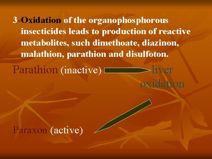 3 -Oxidation of the organophosphorous insecticides leads to production of reactive metabolites, such dimethoate,