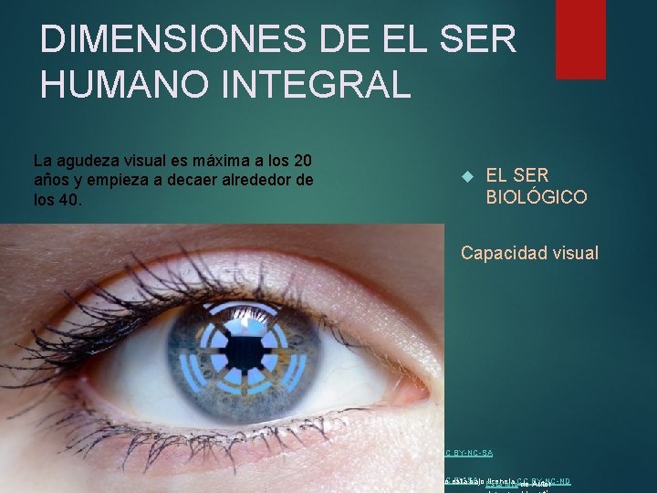 DIMENSIONES DE EL SER HUMANO INTEGRAL La agudeza visual es máxima a los 20