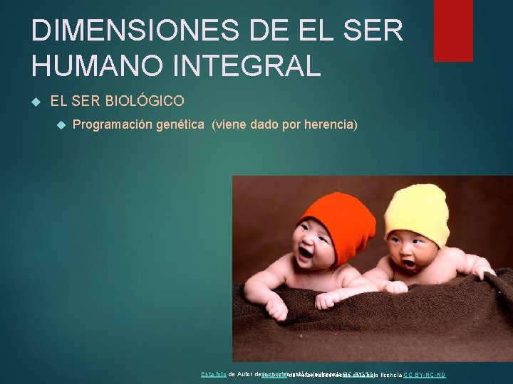 DIMENSIONES DE EL SER HUMANO INTEGRAL EL SER BIOLÓGICO Programación genética (viene dado por