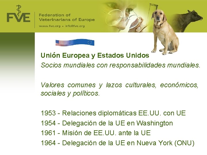 Unión Europea y Estados Unidos Socios mundiales con responsabilidades mundiales. Valores comunes y lazos