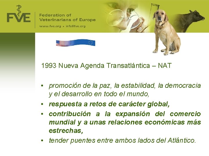 1993 Nueva Agenda Transatlántica – NAT • promoción de la paz, la estabilidad, la
