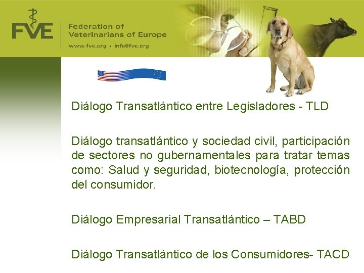 Diálogo Transatlántico entre Legisladores - TLD Diálogo transatlántico y sociedad civil, participación de sectores