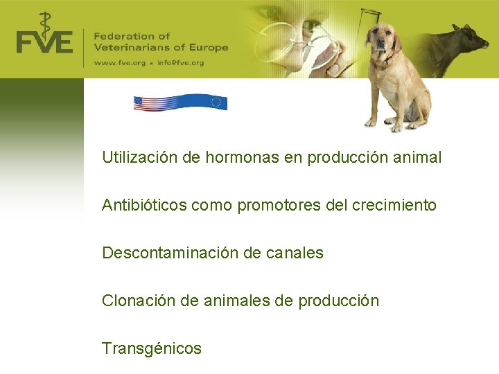 Utilización de hormonas en producción animal Antibióticos como promotores del crecimiento Descontaminación de canales