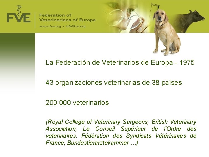 La Federación de Veterinarios de Europa - 1975 43 organizaciones veterinarias de 38 países