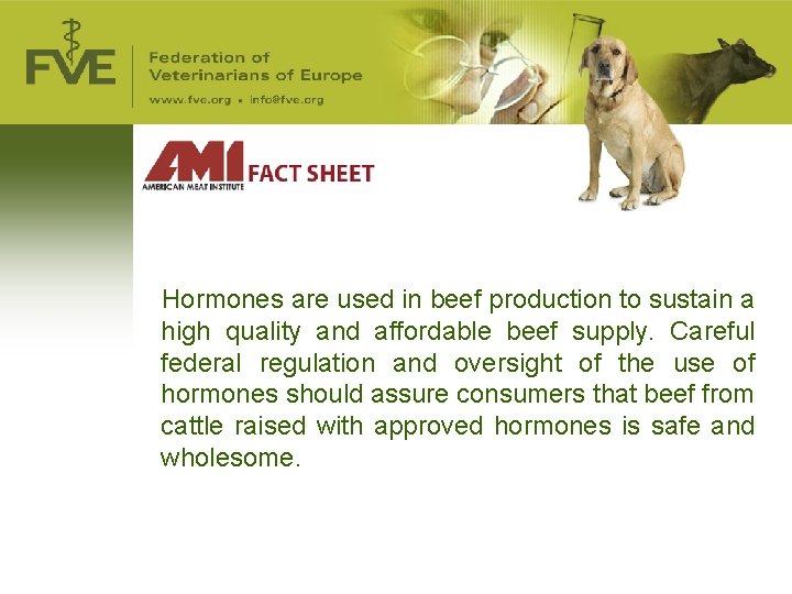 Hormones are used in beef production to sustain a high quality and affordable beef