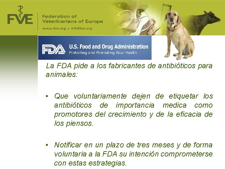 La FDA pide a los fabricantes de antibióticos para animales: • Que voluntariamente dejen