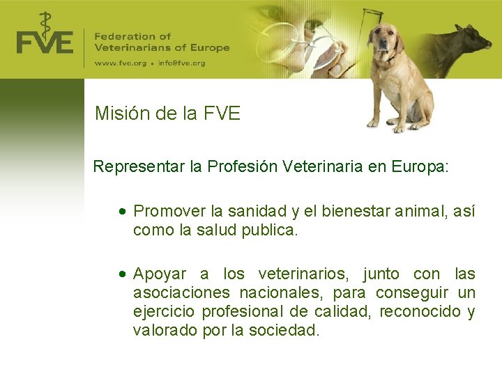 Misión de la FVE Representar la Profesión Veterinaria en Europa: • Promover la sanidad Misión de la FVE Representar la Profesión Veterinaria en Europa: • Promover la sanidad