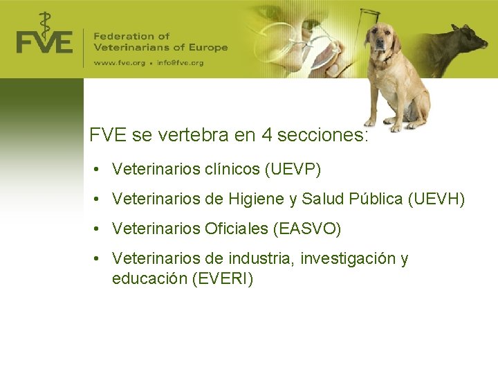 FVE se vertebra en 4 secciones: • Veterinarios clínicos (UEVP) • Veterinarios de Higiene