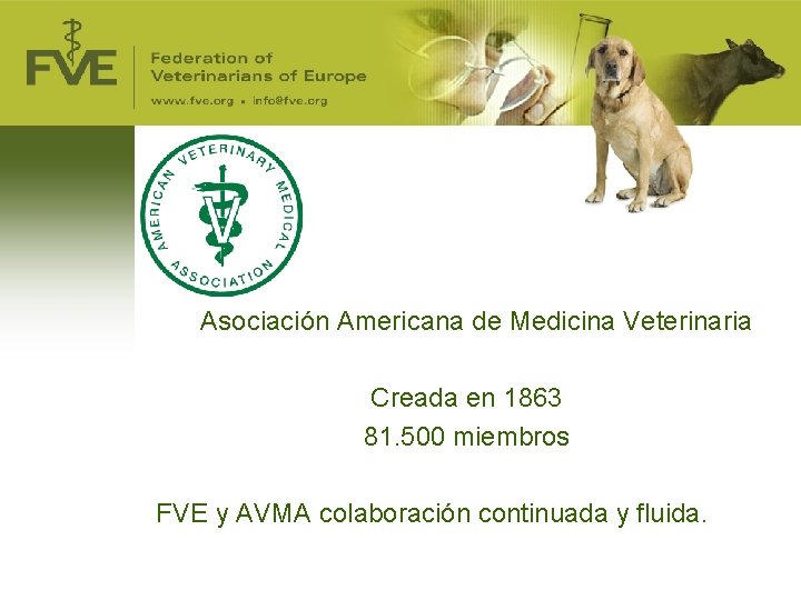 Asociación Americana de Medicina Veterinaria Creada en 1863 81. 500 miembros FVE y AVMA