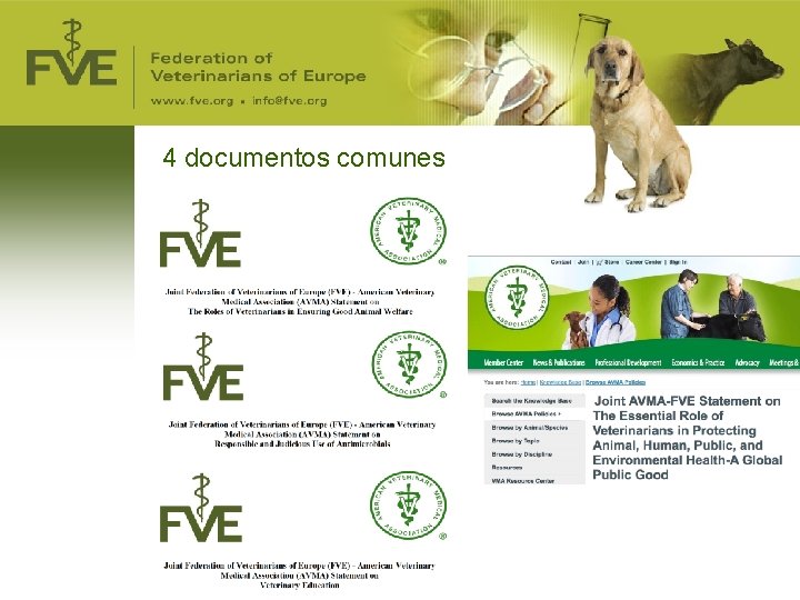 4 documentos comunes 