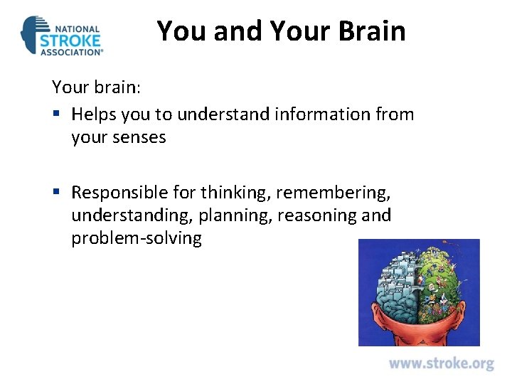 You and Your Brain Your brain: § Helps you to understand information from your You and Your Brain Your brain: § Helps you to understand information from your