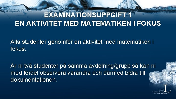 EXAMINATIONSUPPGIFT 1 EN AKTIVITET MED MATEMATIKEN I FOKUS Alla studenter genomför en aktivitet med