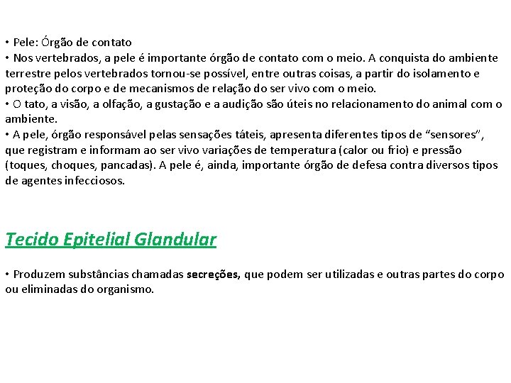  • Pele: Órgão de contato • Nos vertebrados, a pele é importante órgão