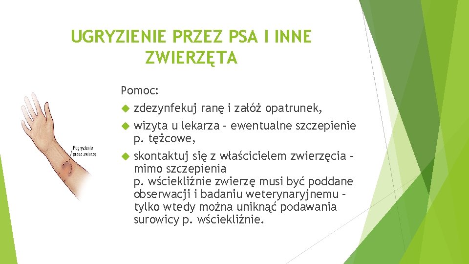 UGRYZIENIE PRZEZ PSA I INNE ZWIERZĘTA Pomoc: zdezynfekuj ranę i załóż opatrunek, wizyta u