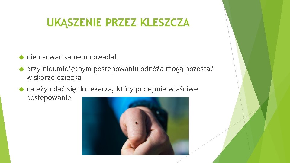 UKĄSZENIE PRZEZ KLESZCZA nie usuwać samemu owada! przy nieumiejętnym postępowaniu odnóża mogą pozostać w