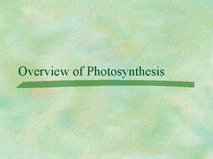 Overview of Photosynthesis 