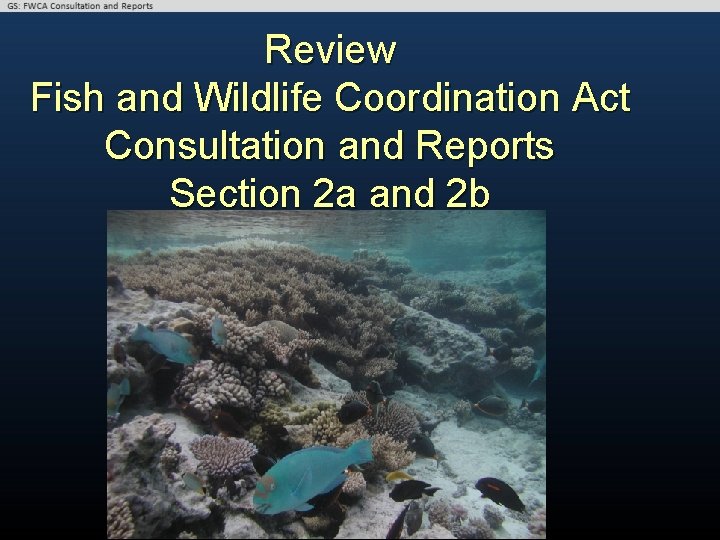 Review Fish and Wildlife Coordination Act Consultation and Reports Section 2 a and 2