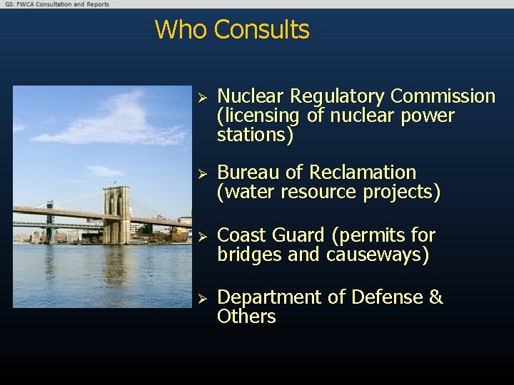 Who Consults Ø Nuclear Regulatory Commission (licensing of nuclear power stations) Ø Bureau of