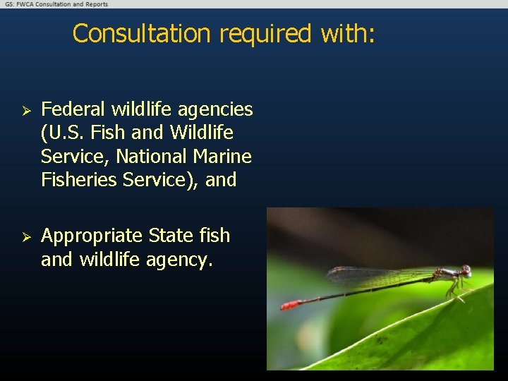 Consultation required with: Ø Ø Federal wildlife agencies (U. S. Fish and Wildlife Service,