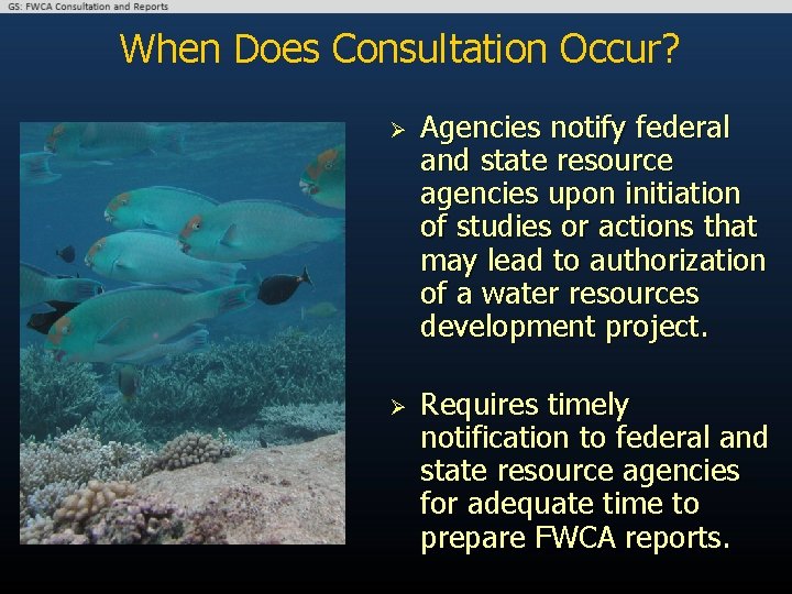 When Does Consultation Occur? Ø Ø Agencies notify federal and state resource agencies upon