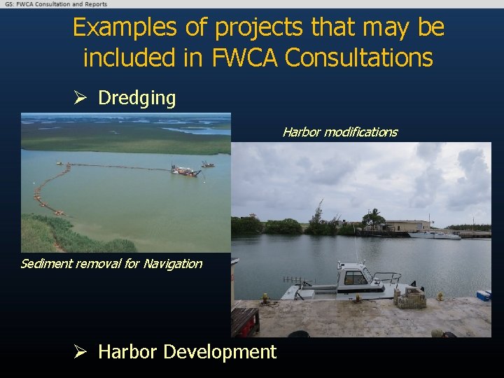 Examples of projects that may be included in FWCA Consultations Ø Dredging Harbor modifications