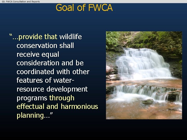 Goal of FWCA “…provide that wildlife conservation shall receive equal consideration and be coordinated