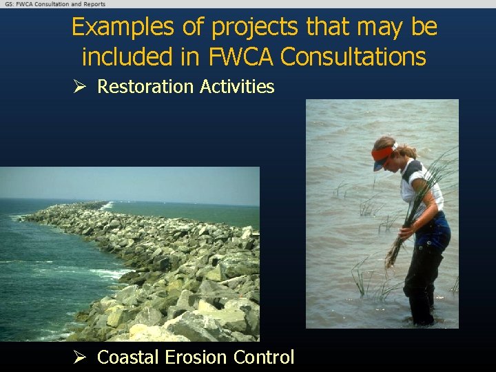 Examples of projects that may be included in FWCA Consultations Ø Restoration Activities Ø