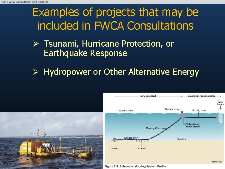 Examples of projects that may be included in FWCA Consultations Ø Tsunami, Hurricane Protection,