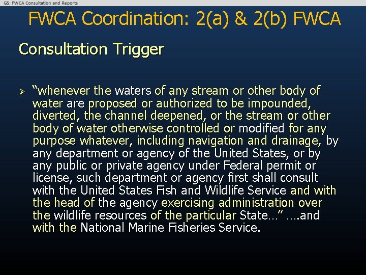 FWCA Coordination: 2(a) & 2(b) FWCA Consultation Trigger Ø “whenever the waters of any