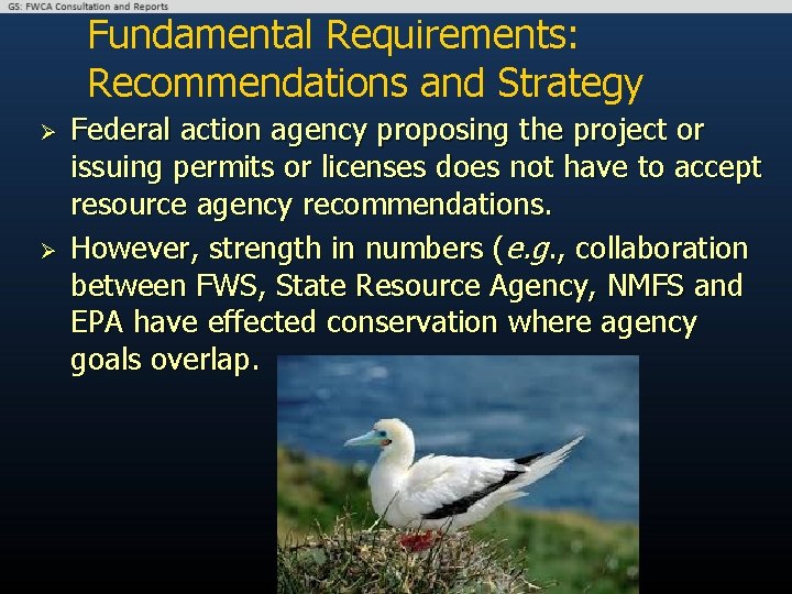 Fundamental Requirements: Recommendations and Strategy Ø Ø Federal action agency proposing the project or